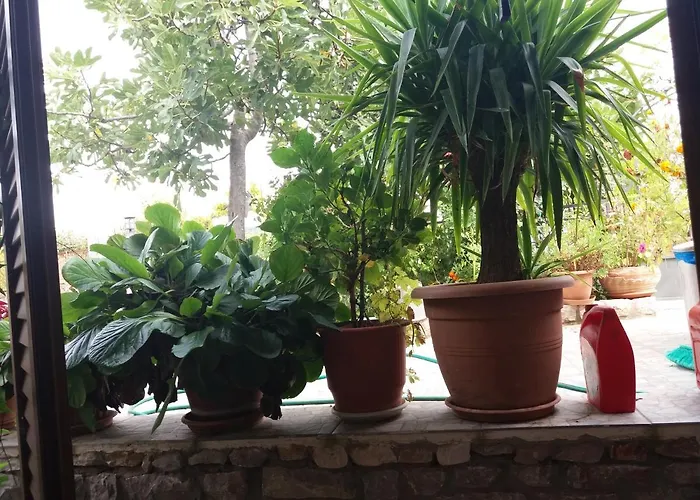 Katerinas Διαμέρισμα *